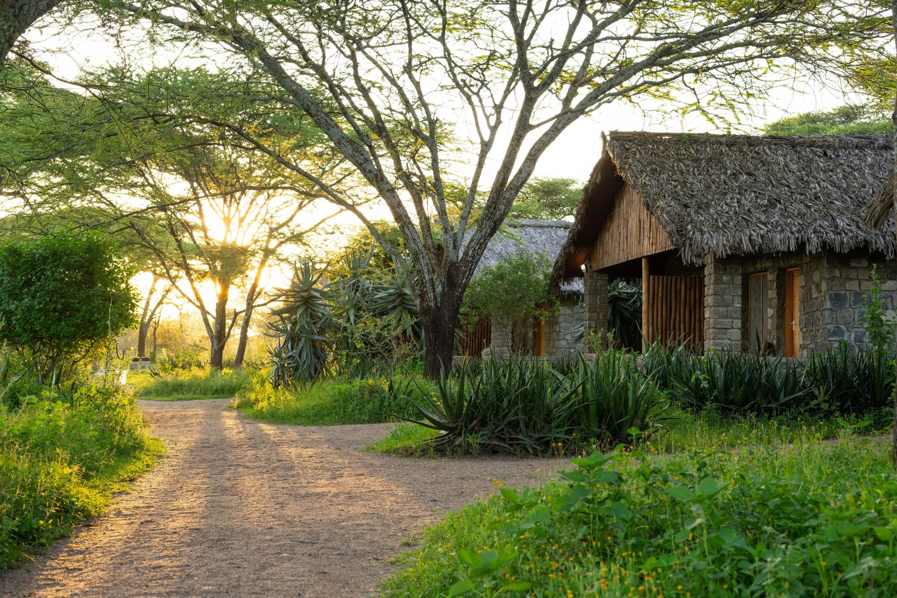Ndutu Safari Lodge